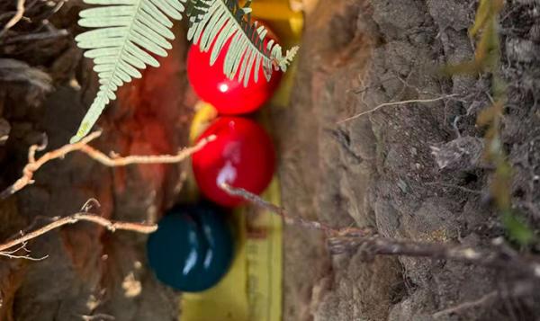 对吃没追求的人，往往就是神功圈劣质人